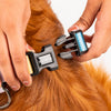 HUFT Nylon Chase the Rainbow Dog H Harness - Heads Up For Tails
