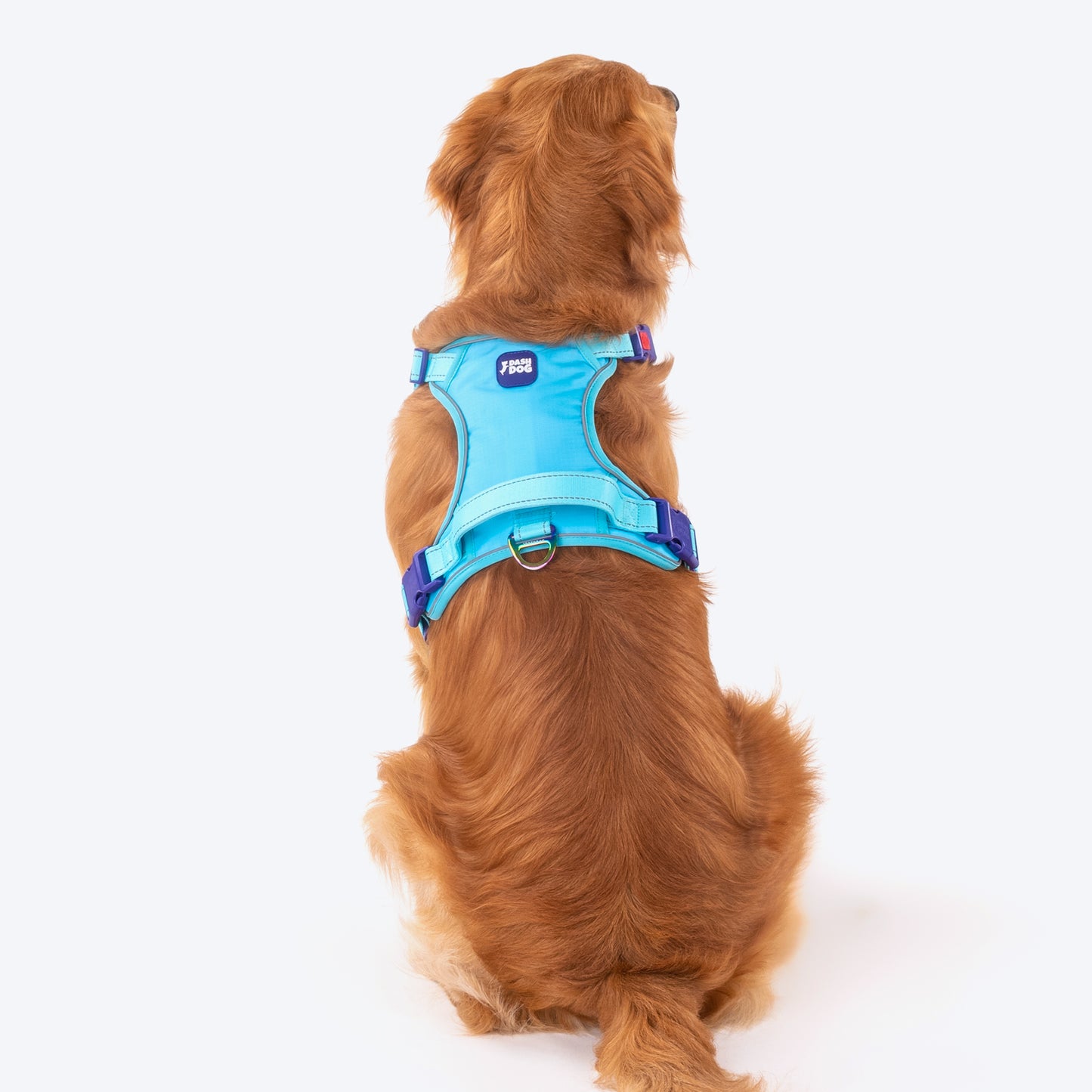 Dash Dog Zoom Walk Along Harness - Aqua Blue & Lavender - Heads Up For Tails