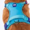 Dash Dog Zoom Walk Along Harness - Aqua Blue & Lavender - Heads Up For Tails