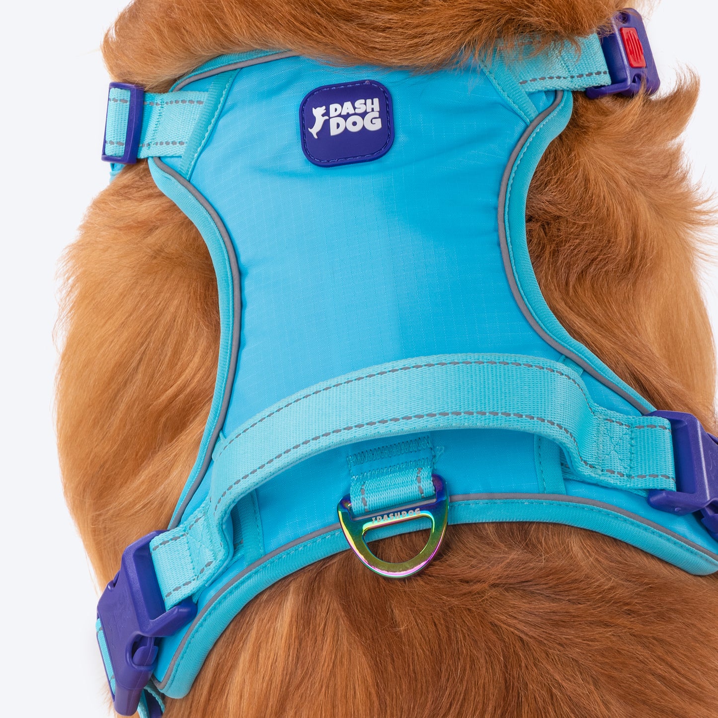 Dash Dog Zoom Walk Along Harness - Aqua Blue & Lavender - Heads Up For Tails