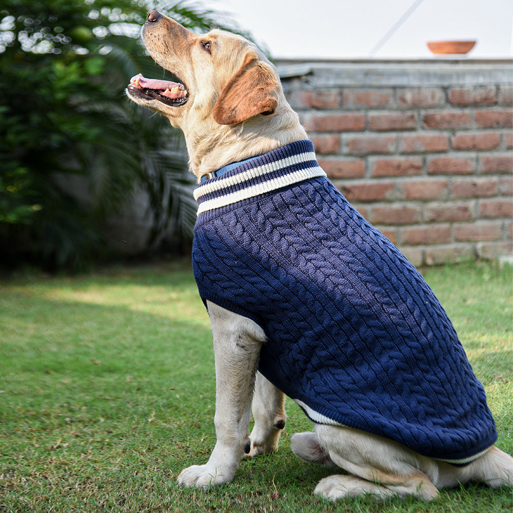 HUFTStriped Cable Knit Dog Sweater - Navy-lifestyle