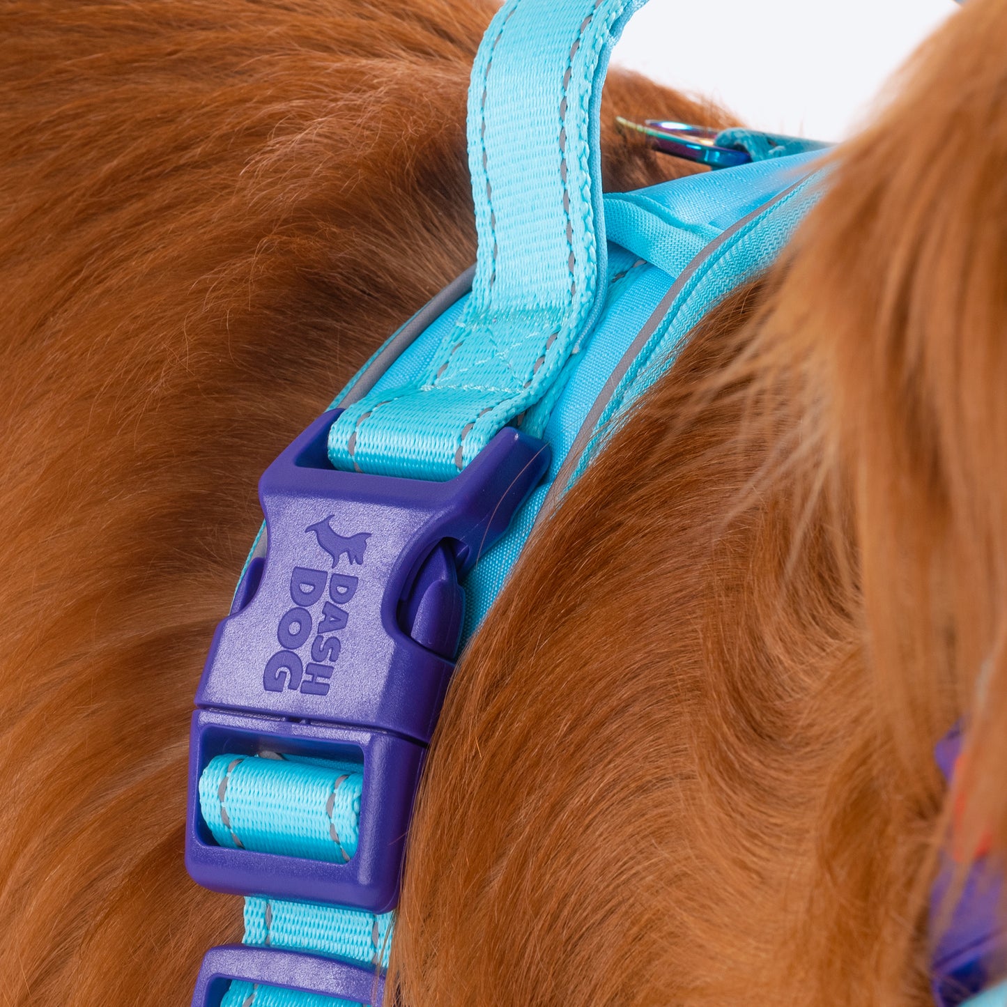 Dash Dog Zoom Walk Along Harness - Aqua Blue & Lavender - Heads Up For Tails