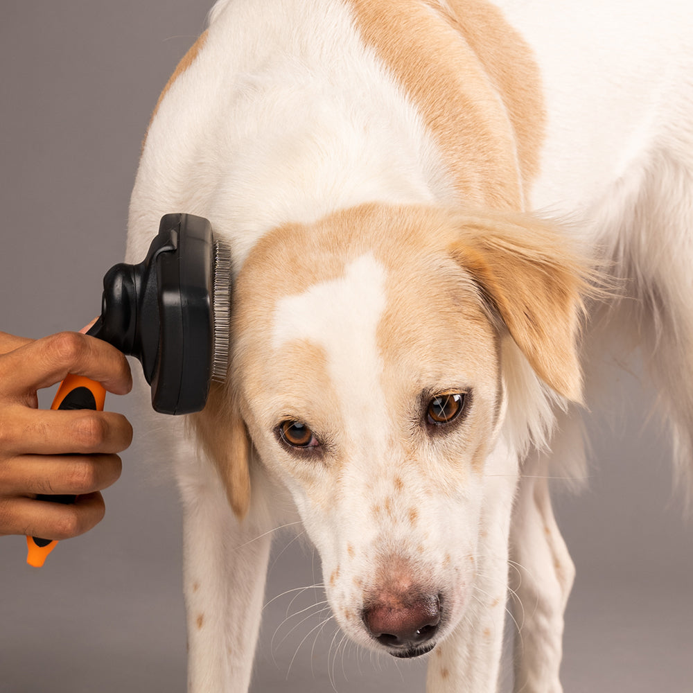 HUFT Self Cleaning Slicker Brush for Dogs - Orange - Heads Up For Tails