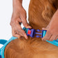 Dash Dog Zoom Walk Along Harness - Aqua Blue & Lavender - Heads Up For Tails