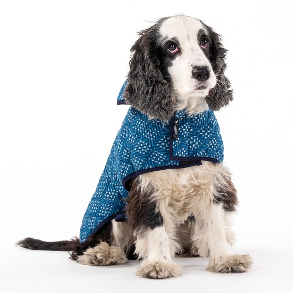 HUFT The Indian Collective Ambar Indigo Dog Jacket - Heads Up For Tails