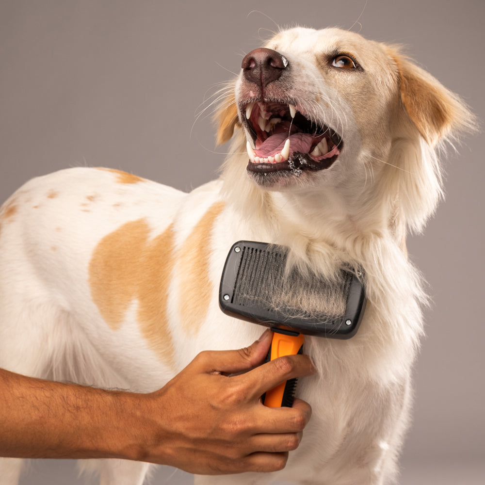 HUFT Self Cleaning Slicker Brush for Dogs - Orange - Heads Up For Tails