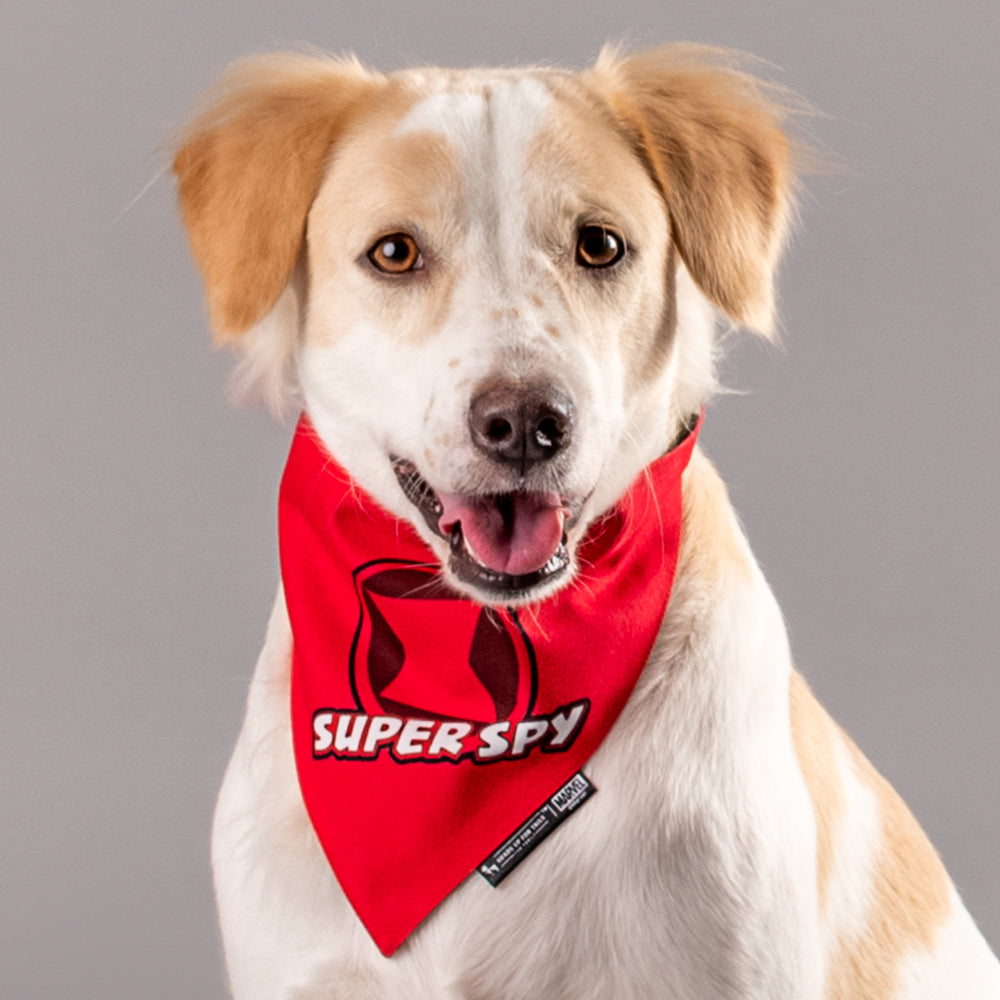 HUFT Marvel Black Widow Dog Bandana - Heads Up For Tails