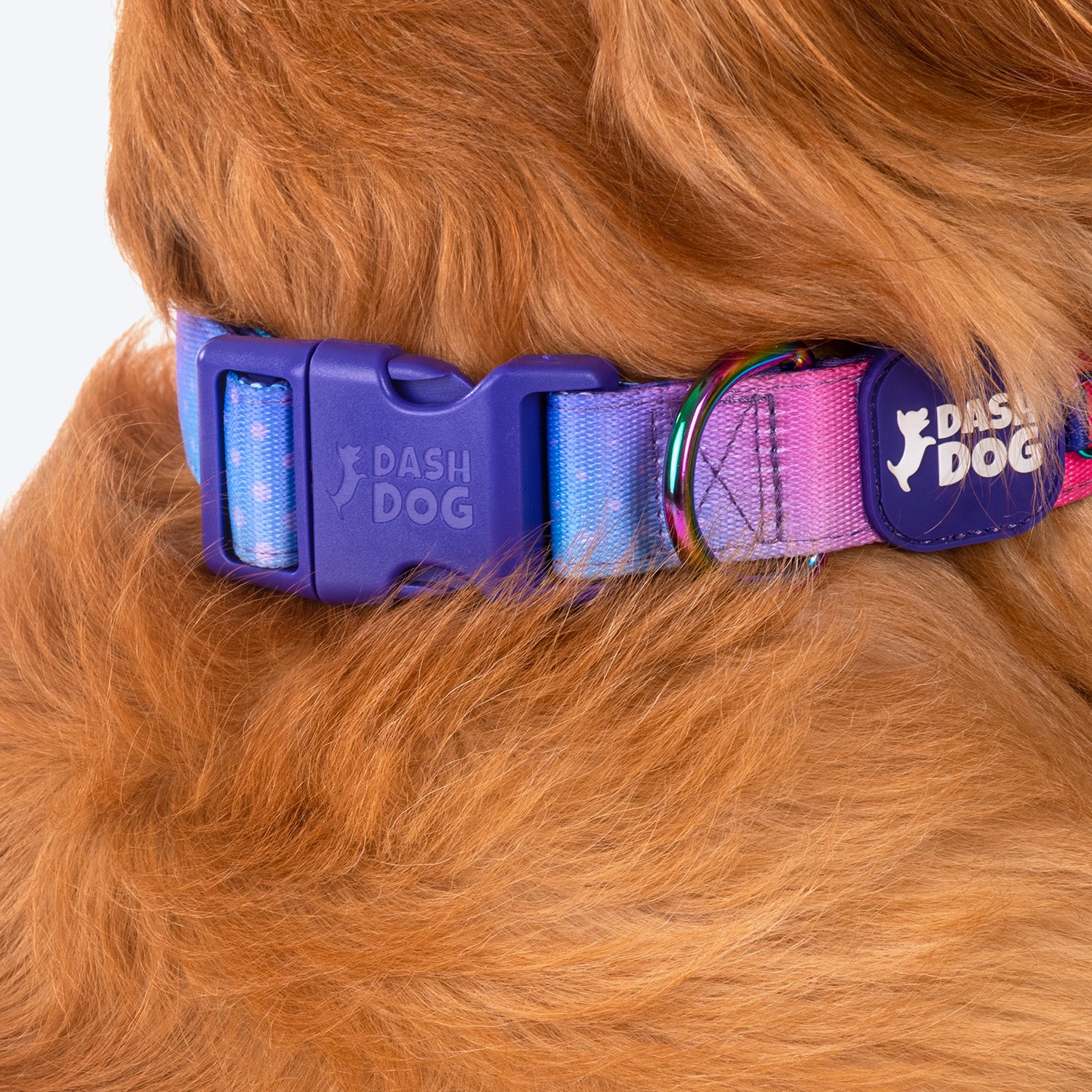 Dash Dog Flow Padded Collar - Pink And Aqua Blue - Heads Up For Tails