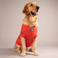 HUFT Treats And Chill T-Shirt For Dog - Deep Coral - Heads Up For Tails