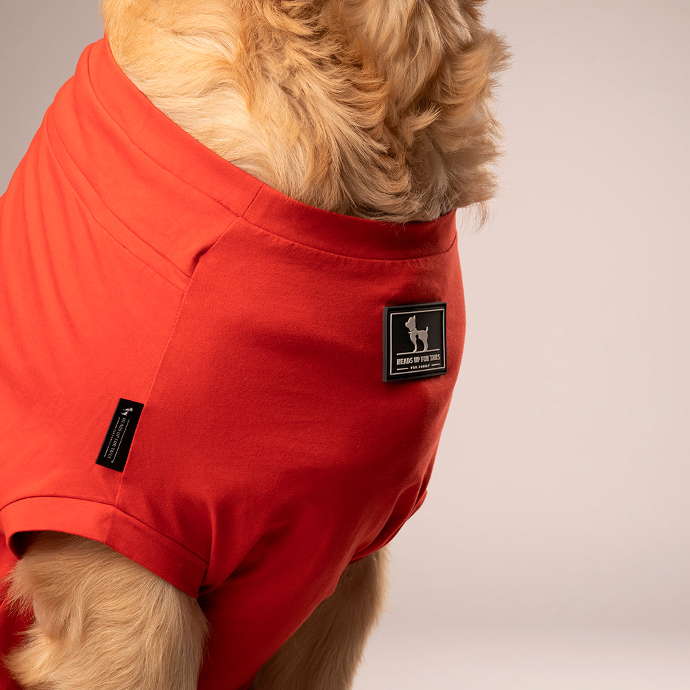 HUFT Treats And Chill T-Shirt For Dog - Deep Coral - Heads Up For Tails