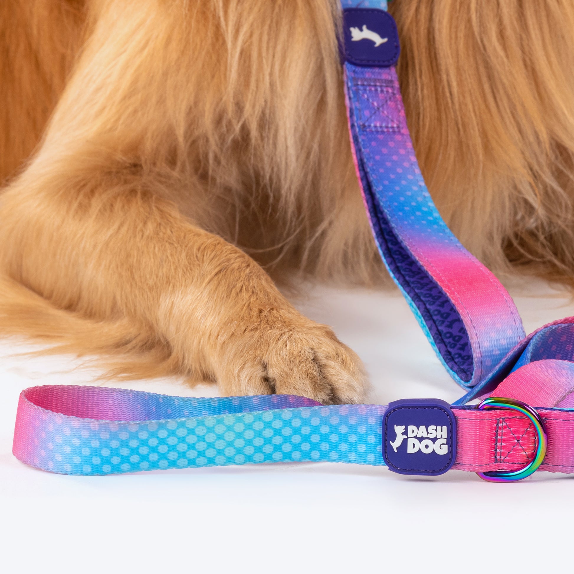 Dash Dog Flow Printed Leash - Pink & Aqua Blue - Heads Up For Tails
