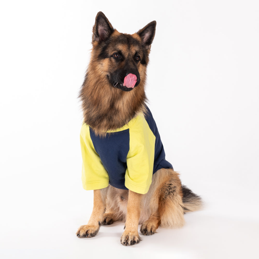 HUFT Colour Block Pocket Pet Sweatshirt - Neon Lime and Navy - Heads Up For Tails