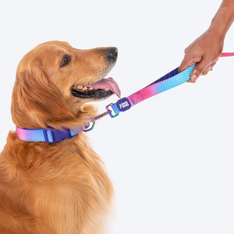 Dash Dog Flow Printed Leash - Pink & Aqua Blue - Heads Up For Tails
