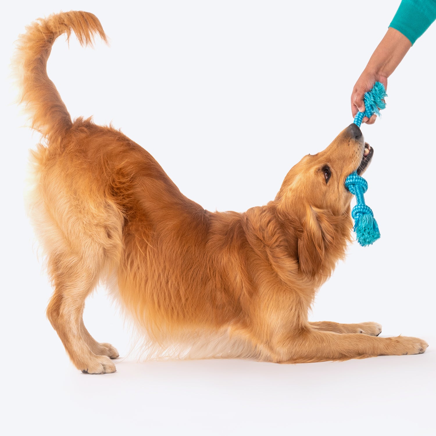 Dash Dog Twists & Turns Rope Dog Toy - Light Blue/Turquoise_08