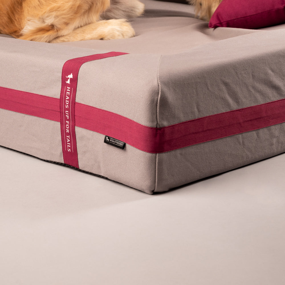 HUFT Royal Snooze Bed For Dogs - Heads Up For Tails