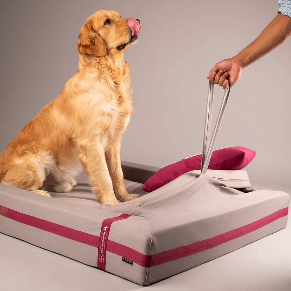 Snooze beds store for dogs