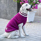 HUFT Striped Cable Knit Dog Sweater - Wine