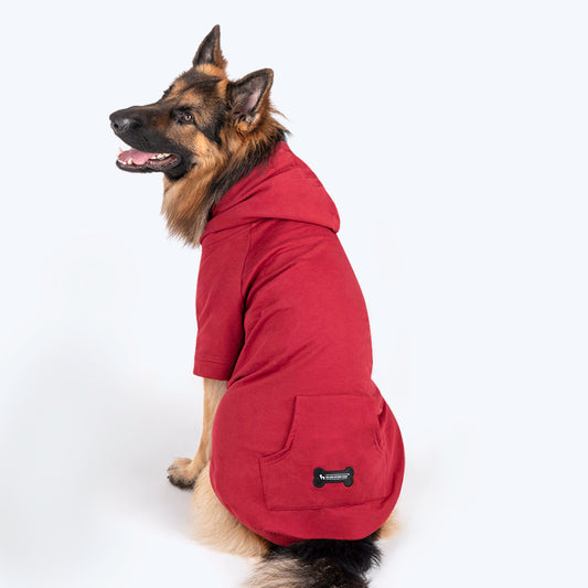 HUFT Sweatshirt for Dogs - Maroon - Heads Up For Tails