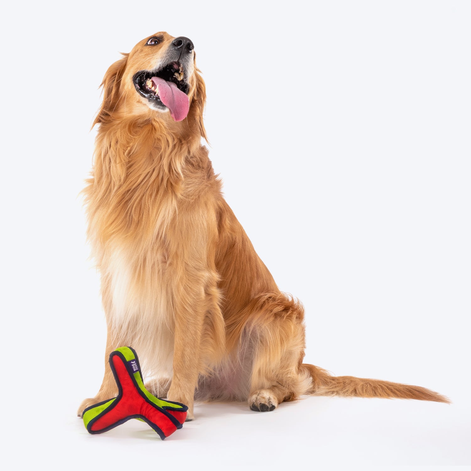 Dash Dog Zigzag Branch Fetch Dog Toy - Green/Red - Heads Up For Tails