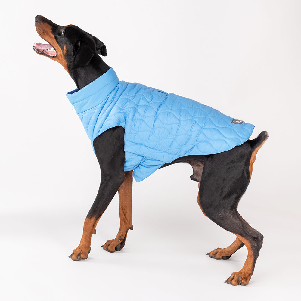 HUFT Cosy Pupper Reversible Dog Jacket- Ocean Blue - Heads Up For Tails