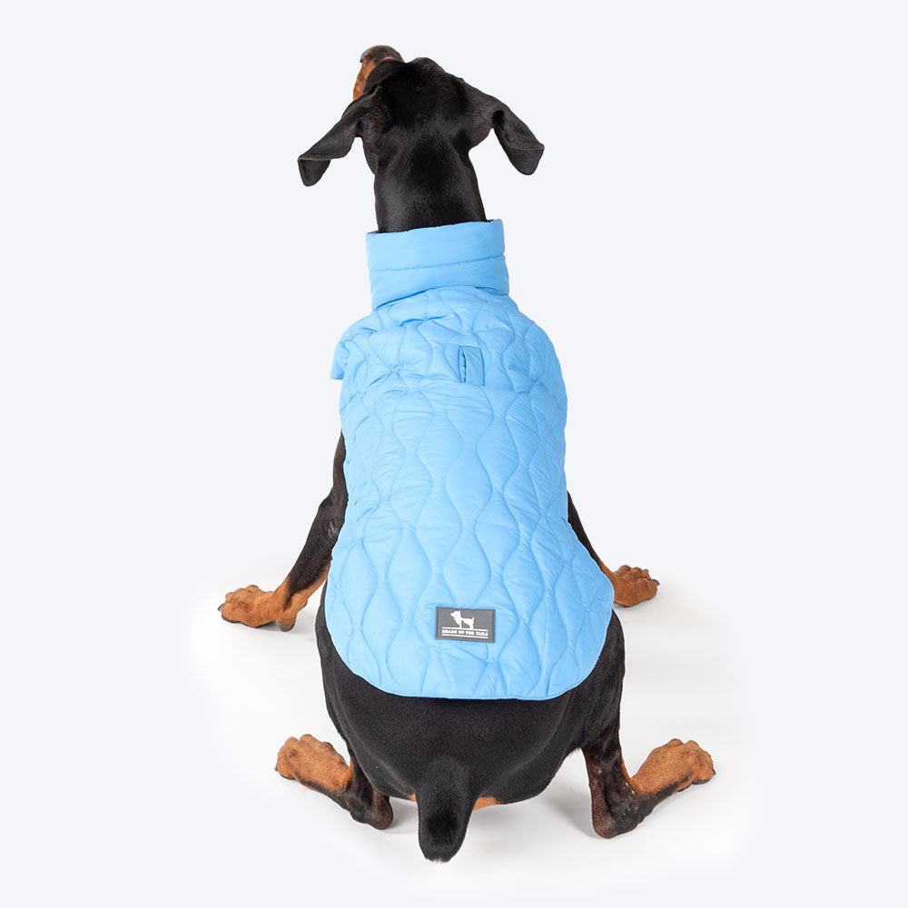 HUFT Cosy Pupper Reversible Dog Jacket- Ocean Blue - Heads Up For Tails