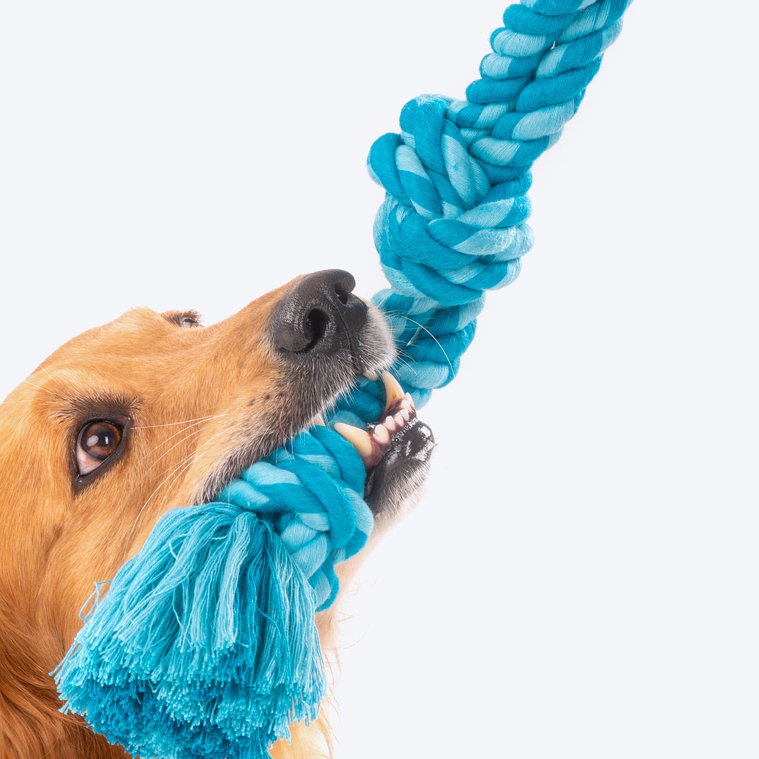 Dash Dog Ton Of Fun Rope Toy For Dogs - Blue_08