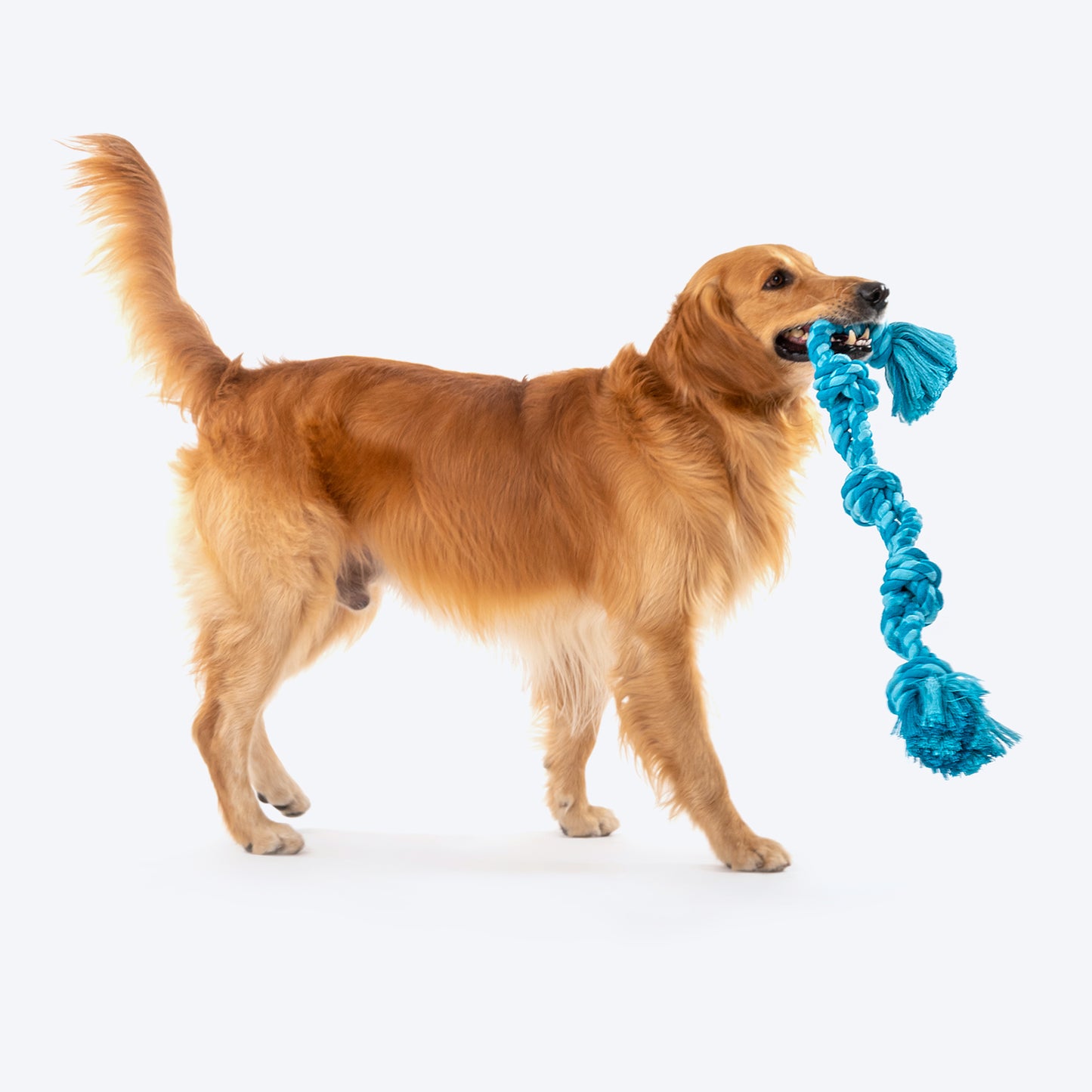 Dash Dog Ton Of Fun Rope Toy For Dogs - Blue_06