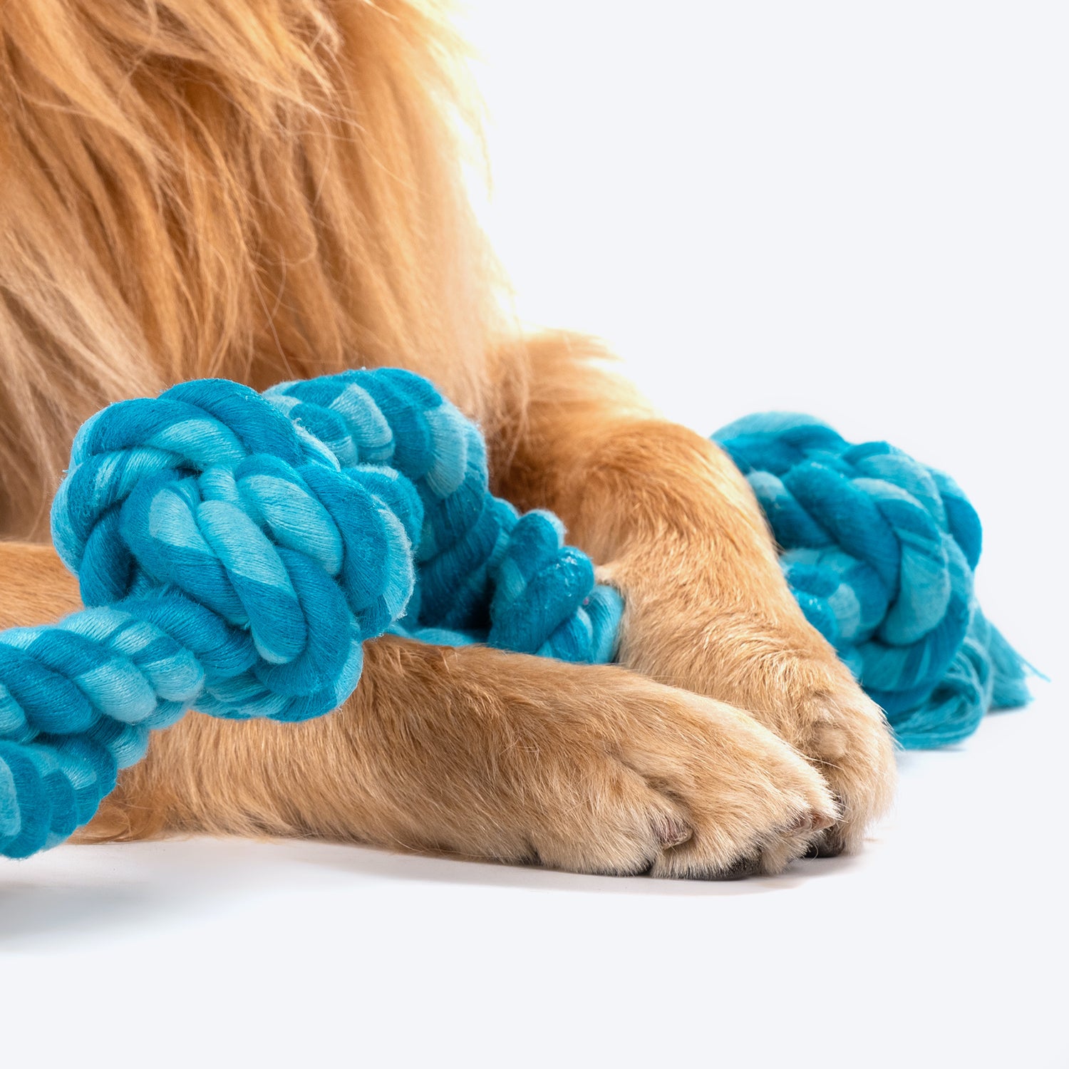 Dash Dog Ton Of Fun Rope Toy For Dogs - Blue_07