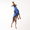 HUFT Cosy Pupper Reversible Dog Jacket- Ocean Blue - Heads Up For Tails
