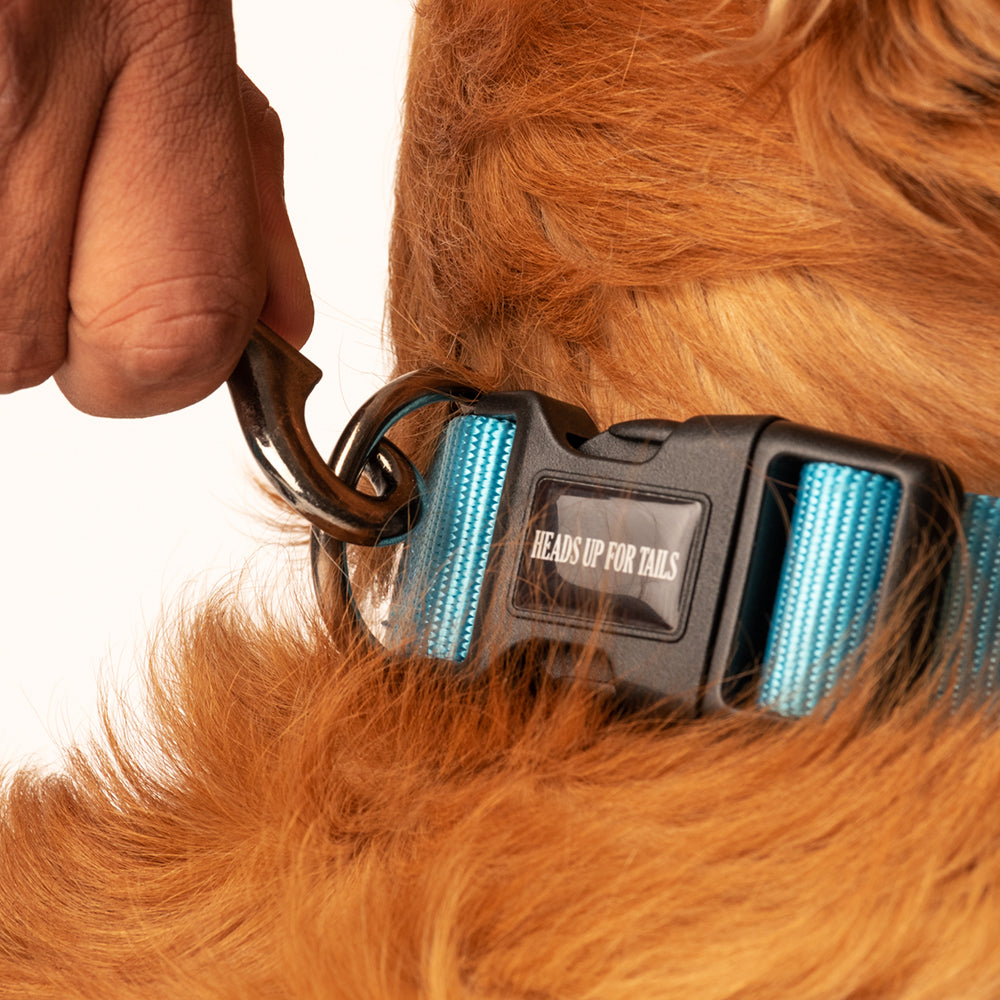 HUFT Essentials Nylon Dog Collar - Aqua Blue - Heads Up For Tails