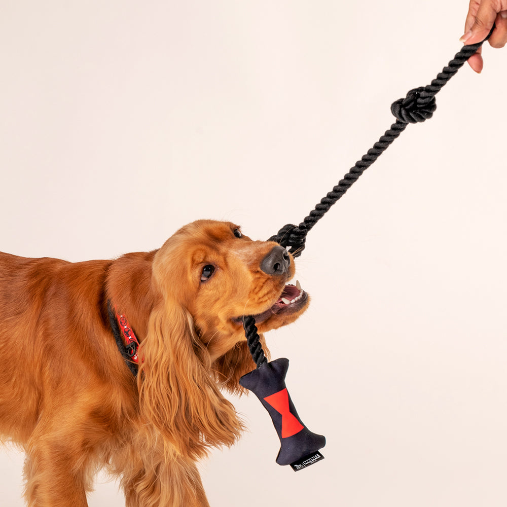HUFT Marvel Black Widow Dog Toy Set - Tennis Ball & Rope Toy - Heads Up For Tails