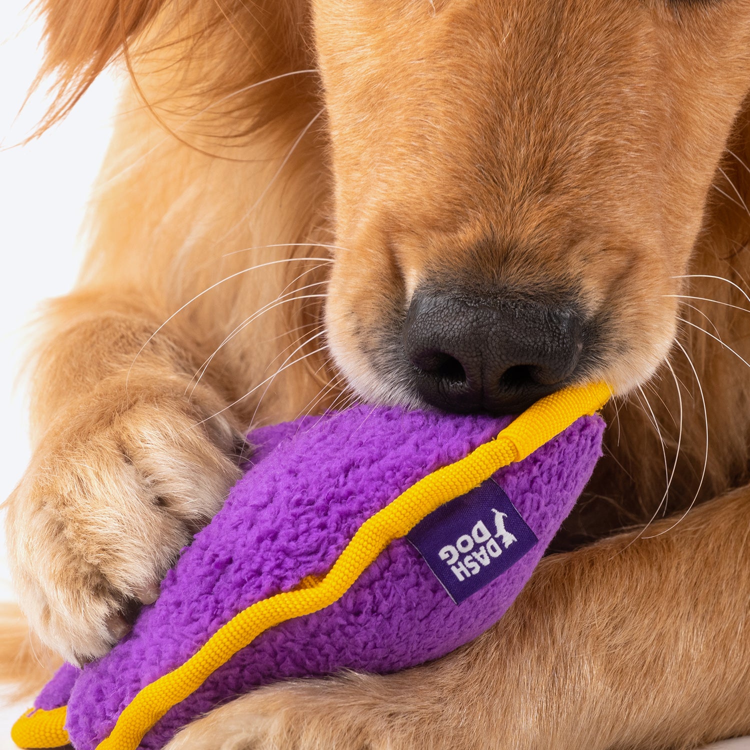Dash Dog Wild Rhino Comfort Dog Toy - Purple - Heads Up For Tails