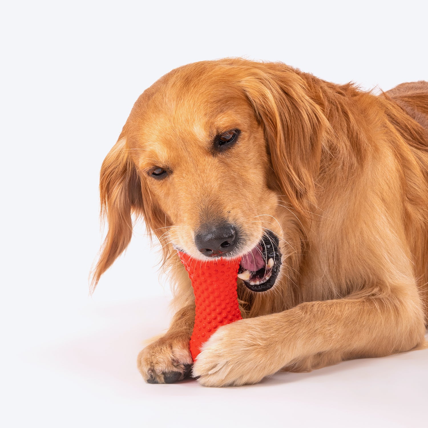 Dash Dog Dumbbell Chew Dog Toy - Red_07
