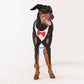 HUFT Made To Order Black Tuxedo Harness - Heads Up For Tails
