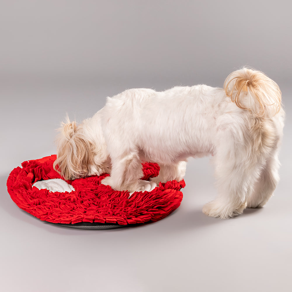 HUFT Marvel Spider-Man Snuffle Mat For Dogs - Heads Up For Tails