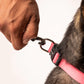 HUFT Essentials Nylon Puppy Collar - Dark Pink - Heads Up For Tails