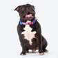 Dash Dog Flow Padded Collar - Violet & Red - Heads Up For Tails