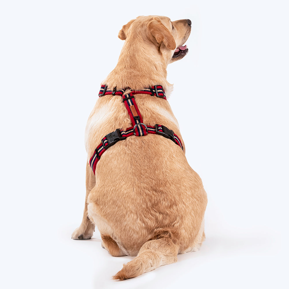 HUFT Retro Vibes Dog H-Harness - Maroon & Navy-2