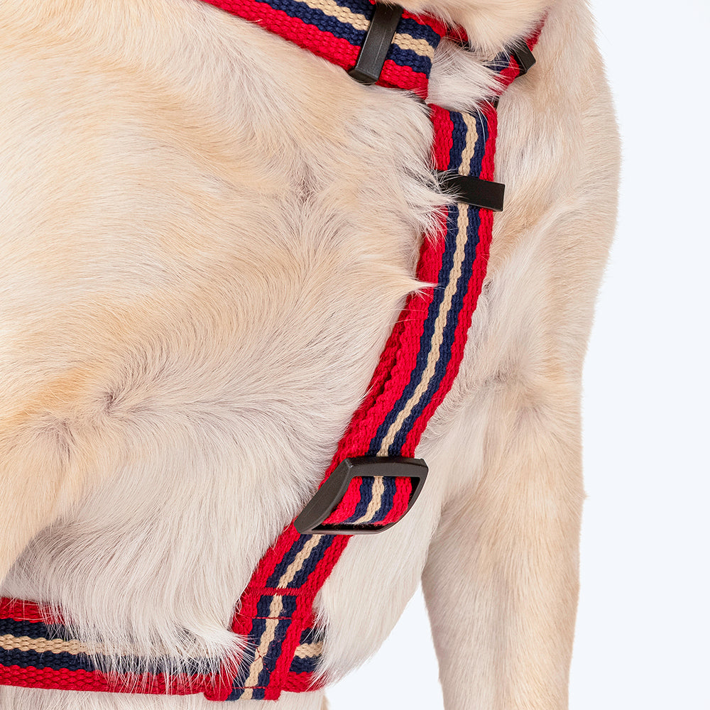 HUFT Retro Vibes Dog H-Harness - Maroon & Navy-5