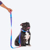 Dash Dog Flow Printed Leash - Violet & Red - Heads Up For Tails