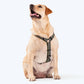 HUFT Vintage Dog H-Harness - Navy & Green-3