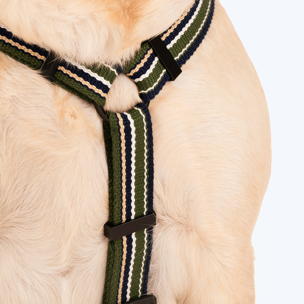 HUFT Vintage Dog H-Harness - Navy & Green-5