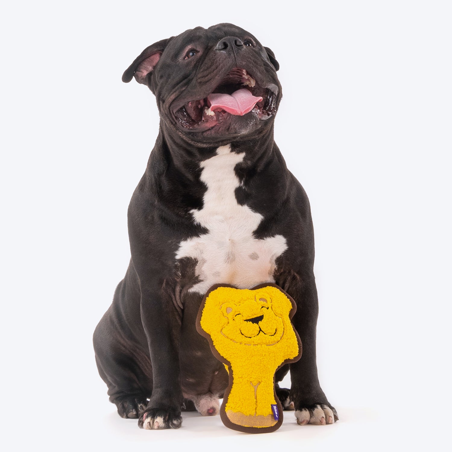 Dash Dog Wild Lion Comfort Dog Toy - Yellow - Heads Up For Tails