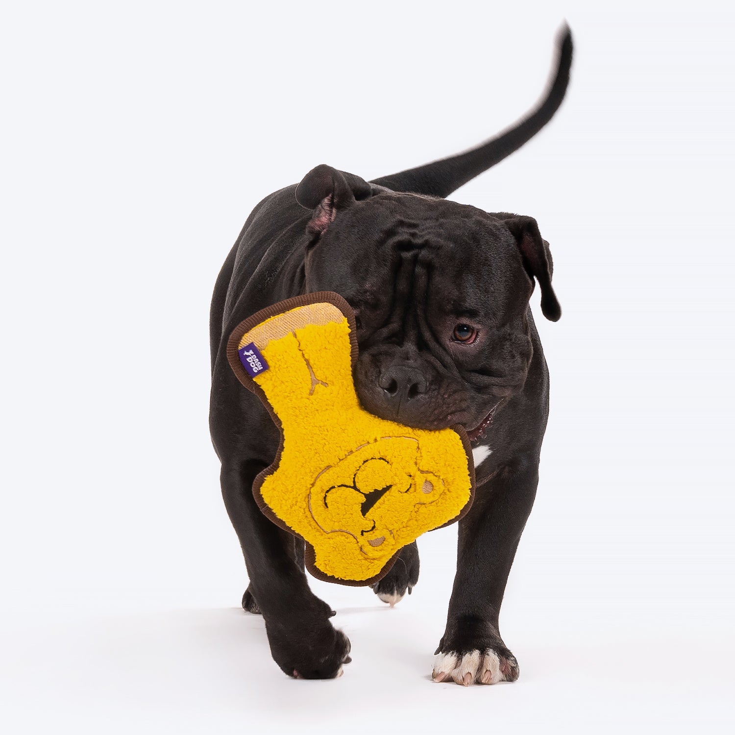 Dash Dog Wild Lion Comfort Dog Toy - Yellow - Heads Up For Tails