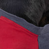 HUFT Colour Block Pocket Pet Sweatshirt - Blue Melange and Red - Heads Up For Tails