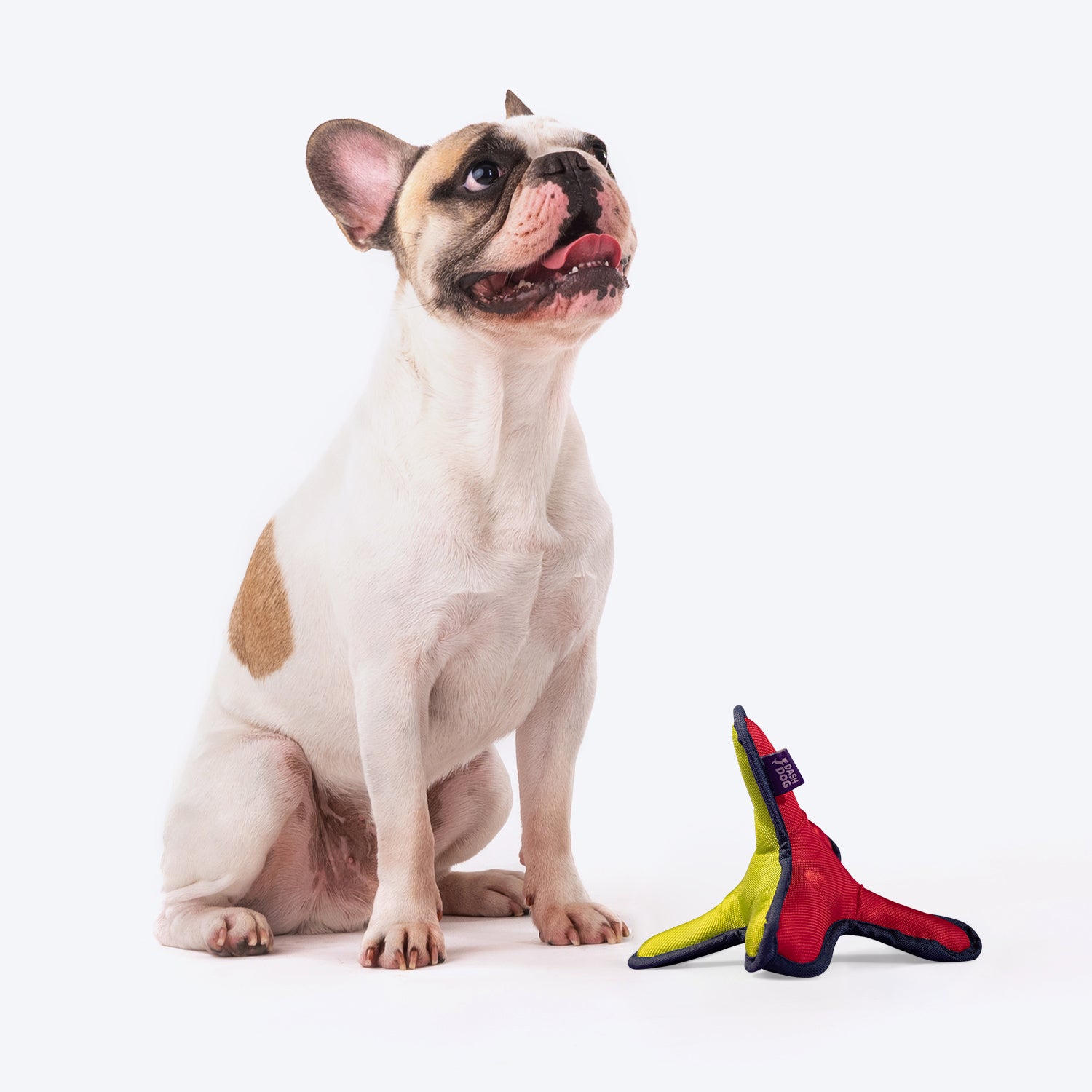 Dash Dog Zigzag Twig Fetch Dog Toy - Multi Coloured - Heads Up For Tails