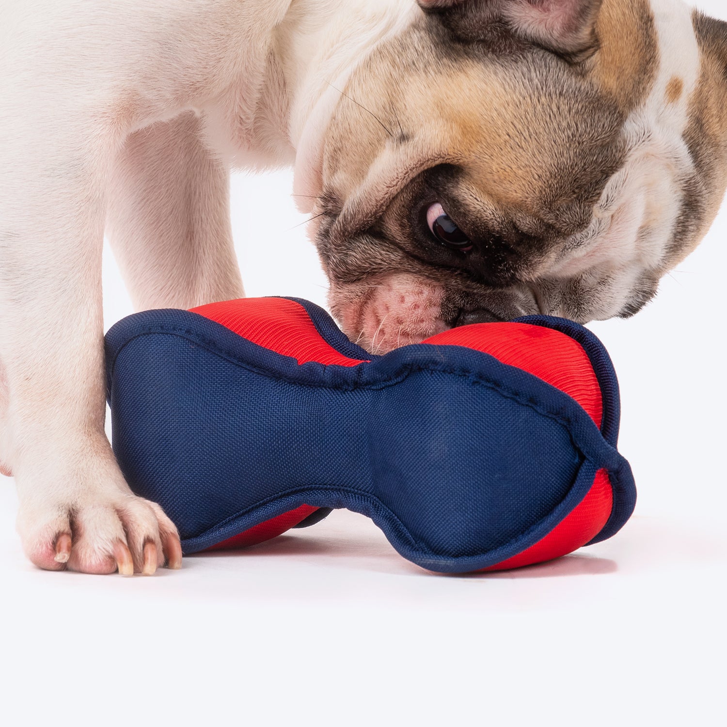 Foot dog outlet toy