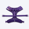 Dash Dog Flow Easy Walk Harness - Violet & Red - Heads Up For Tails
