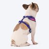 Dash Dog Flow Easy Walk Harness - Aqua Blue & Pink - Heads Up For Tails