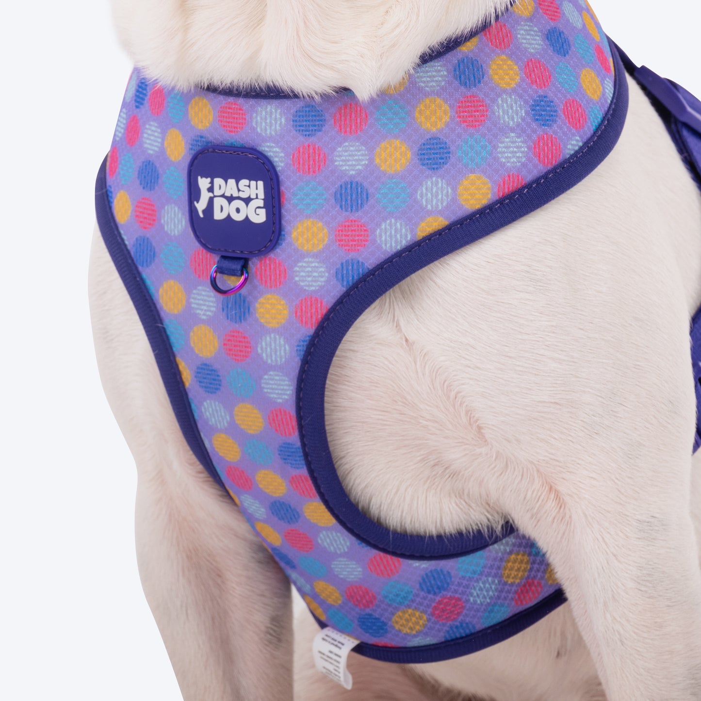 Dash Dog Circle Double Harness - Aqua Blue & Lavender - Heads Up For Tails